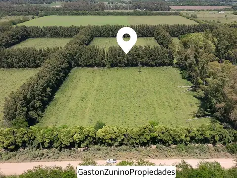 Terreno en venta en Altamira