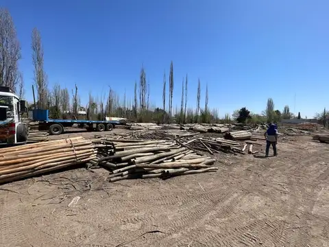 REMAX VENDE LOTE DE 4200 m2 SOBRE ACCESO SUR