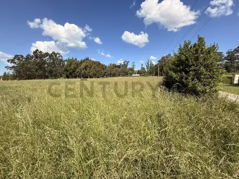 Terreno en Venta 29,40  mts Fondo