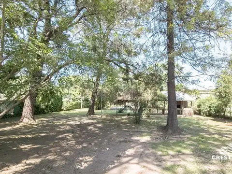 Juan Jose Paso y Maradona