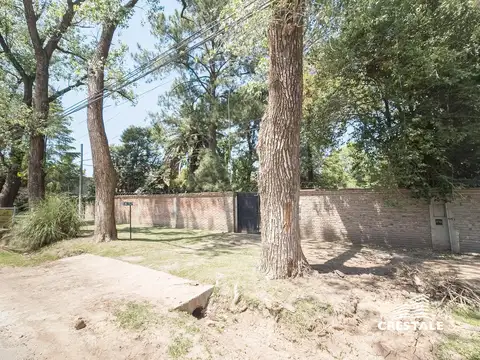 Juan Jose Paso y Maradona