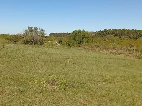 Terreno en Venta en Esquina, USD 15.500