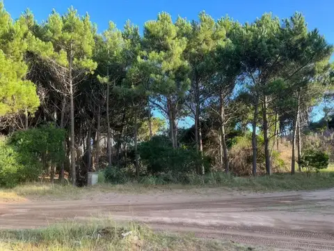 Terreno en Venta de 999,0 m2