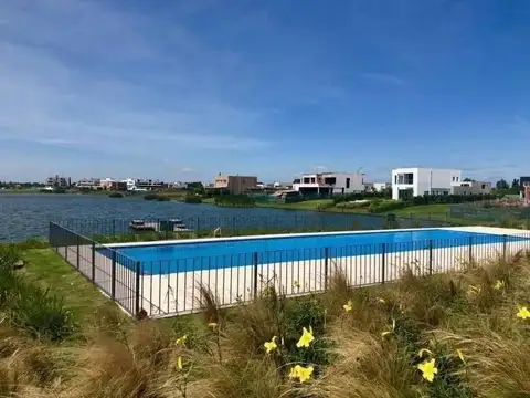 De Los Pensamientos e/ de los Aster y de las Petunias