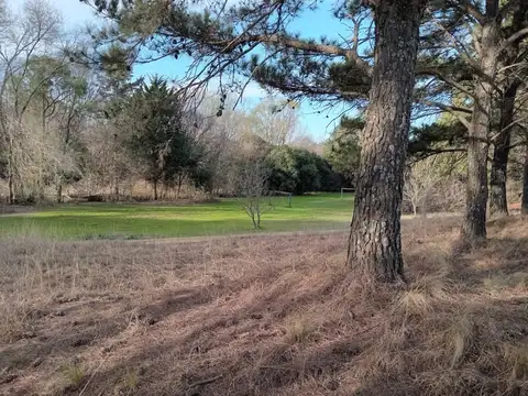 Terreno en Venta de 4643,0 m2