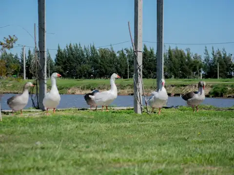 Terreno en Venta de 2250,0 m2