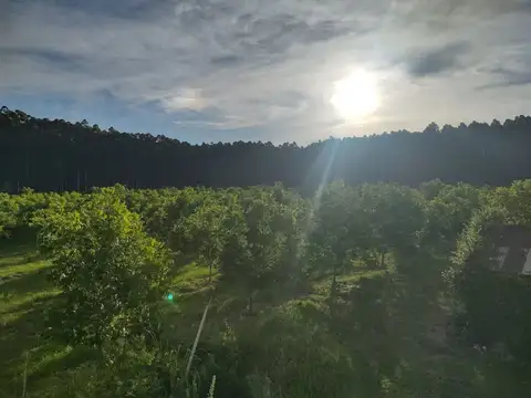 11 KM DE RUTA 14 CAMINO PUERTO YERUA