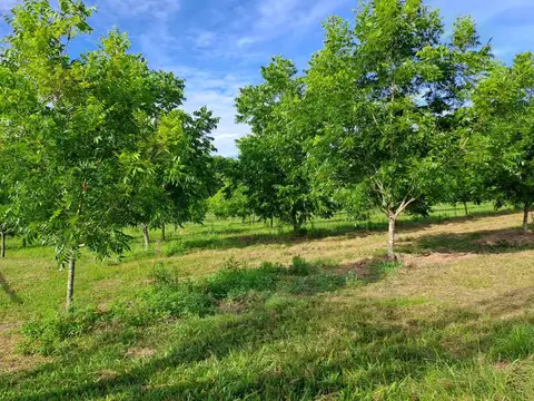 11 KM DE RUTA 14 CAMINO PUERTO YERUA