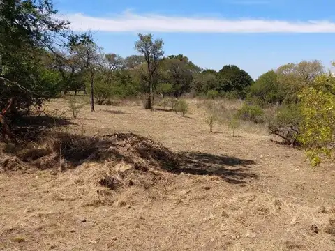 VENTA LOTE TIERRALTA 1543M2 ZONA CONSOLIDADA