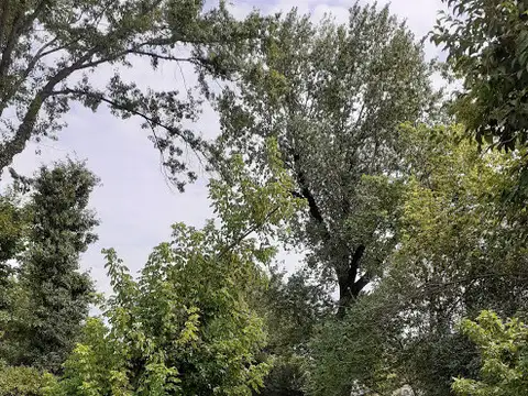 LOCALES - CON VIVIENDA - DEL VISO, GRAN BS. AS. NOROESTE