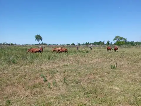 Casa en Venta en Zarate, USD 135.000