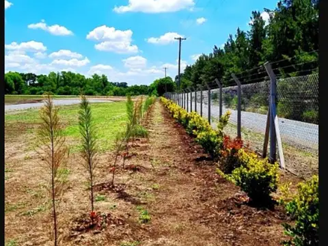 Terreno en Venta de 2000,0 m2