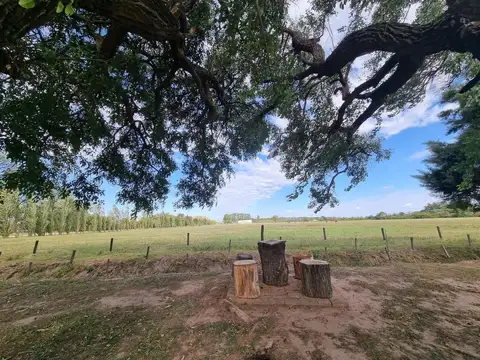 Campo + casa - San Javier