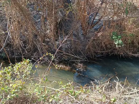 Cocucci inmobiliaria vende finca en Tunuyan