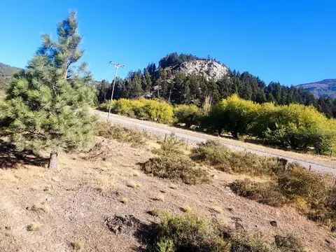 TU LUGAR EN LOS CIPRESES  