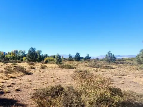 TU LUGAR EN LOS CIPRESES  