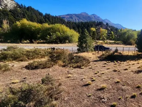 Terreno en Venta de 10000,0 m2