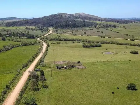 Camino Benito Nardone