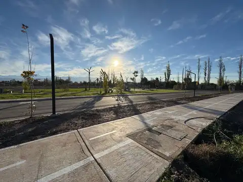 VENTA LOTE en QUATTRO VIAMONTE CHACRAS