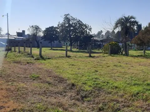 Los conquistadores 47