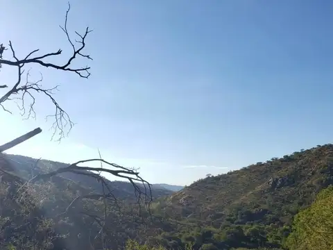 02750 - Vende fracción o 433ha. Ex Capilla la Candelaria