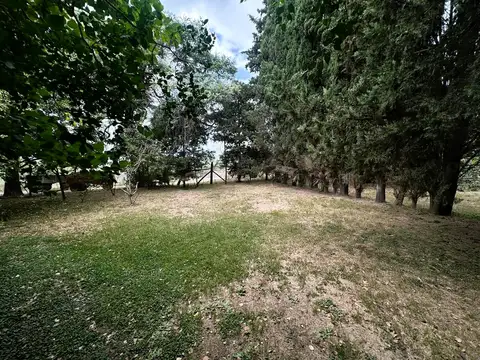 Ruta 31, San Antonio de Areco