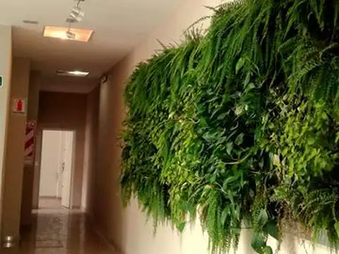 Diputado Pedrera 1600