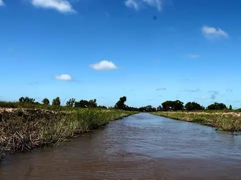 Terreno en Venta 205  mts Fondo