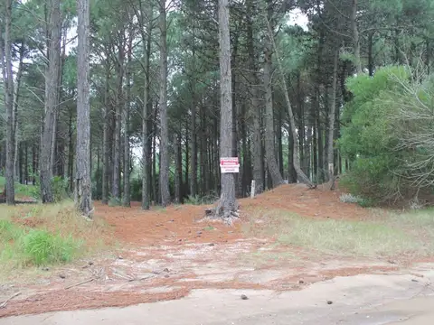 Lote en Venta - Zona Penelope / REF: 1521