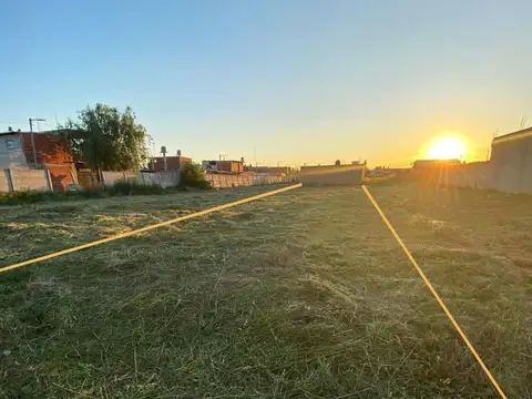 Presidente Ramón Castillo 3100