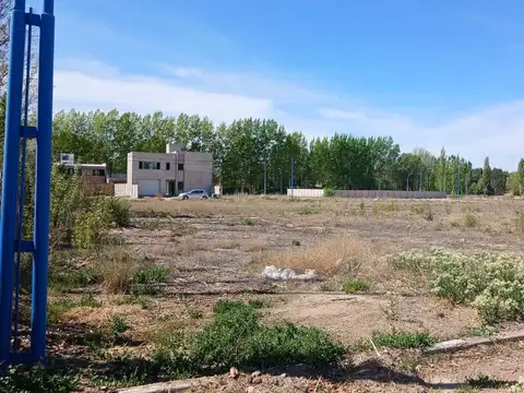 Terreno en Venta en General Roca, USD 25.000