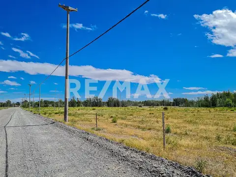 EN VENTA TERRENO TODOS LOS SERVICIOS LA HERRADURA