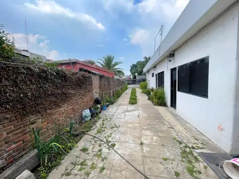 Guillermo Mason 5845