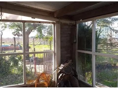 ruta 3 km 117  8 hectareas