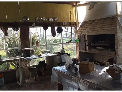 ruta 3 km 117  8 hectareas