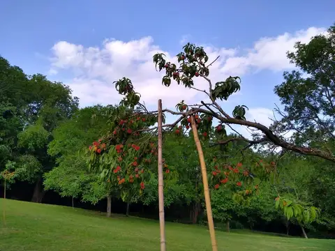 Casa en  Falda del Carmen Cordoba