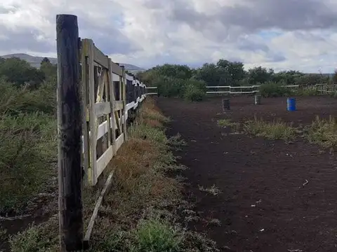 VENTA FONDO DE COMERCIO - ESCUELA DE EQUITACION HUECHULAFQUE 100