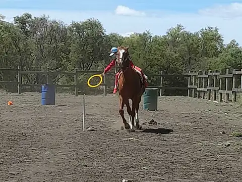 Fondo de Comercio  en Venta en Huechulafquen, Huilliches, Neuquén