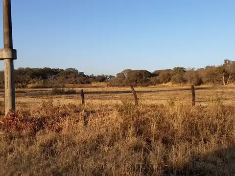 Campo en Venta de 10  ha