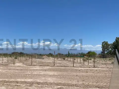 CENTURY 21 LUCIO BARROSO VENDE