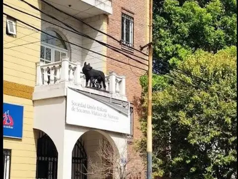 Int. Nemesio Alvarez 343 , Piso 2