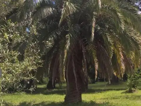 Terreno - San Vicente