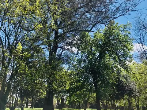 Terreno en Venta de 710,0 m2