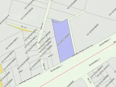 Colectora Ruta 1 al 5300