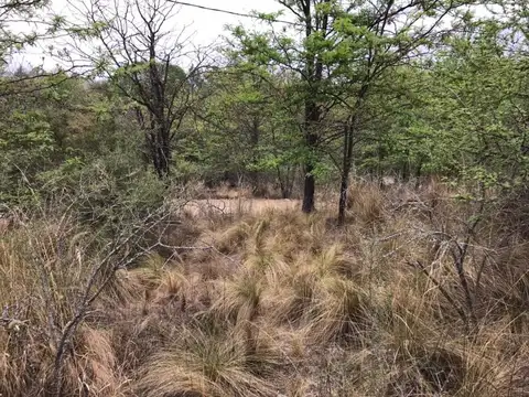 Terreno en Venta en Casa Grande, USD 6.499