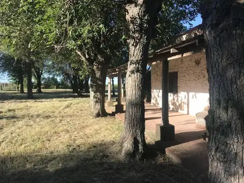 Casa quinta en VENTA.