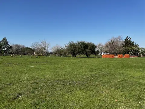 Tratado del Pilar entre Uruguay Y Parana