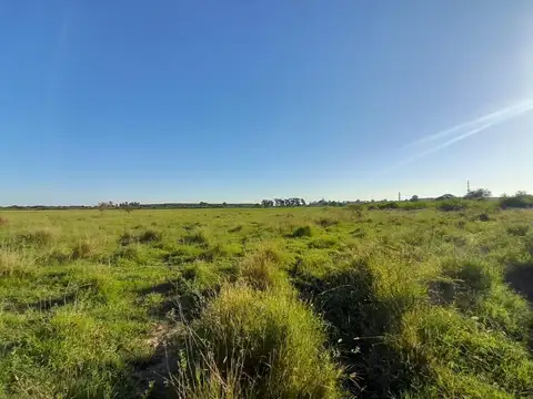 VENDO CAMPO MUY CERCA DE LA CIUDAD DE ESQUINA Y SOBRE RUTA 