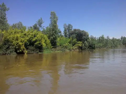 Rio / Arroyo Paraná Mini 100