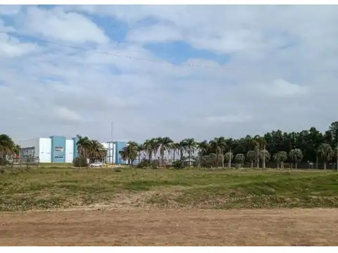 Terreno en Venta 25,50  mts Fondo